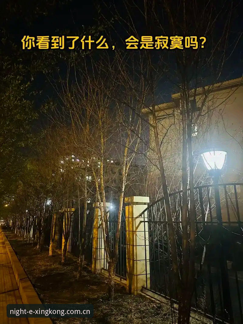 星空天空体育赛事应用常见问题深度分析：从“卡顿焦虑”到“实时自由”的决策逻辑